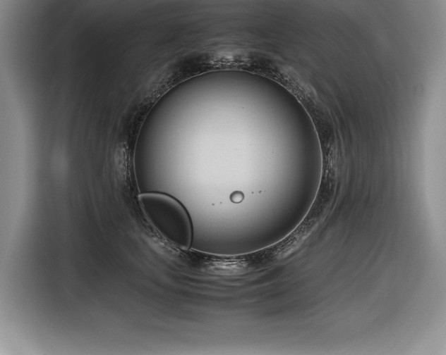 X0000116680659200912141433