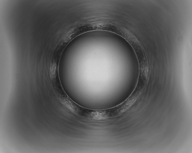 X0000116680660200912141433