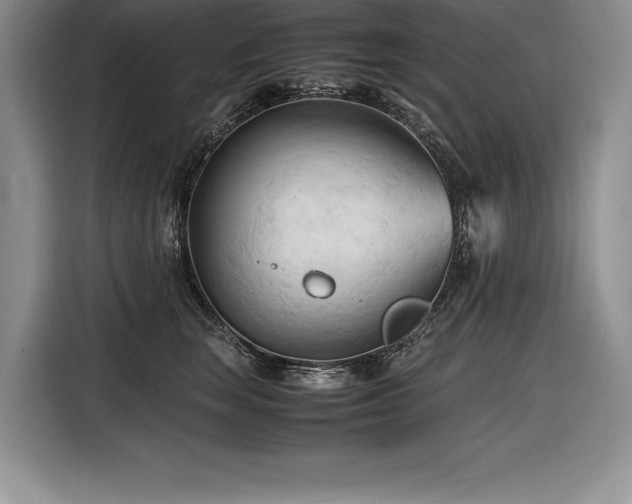 X0000116680663200912141433