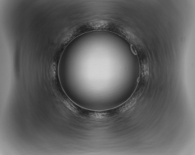 X0000116680664200912141433