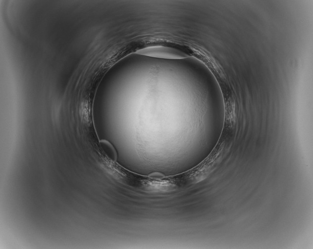 X0000116680669200912141433