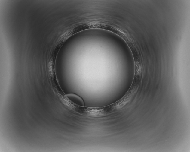 X0000116680670200912141433