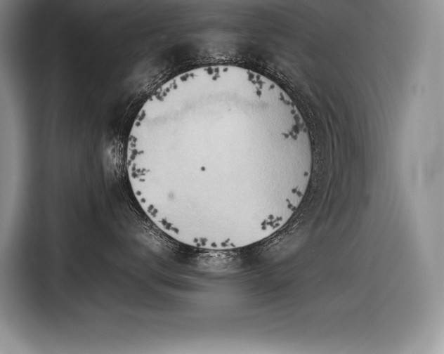 X0000116680672200912141433