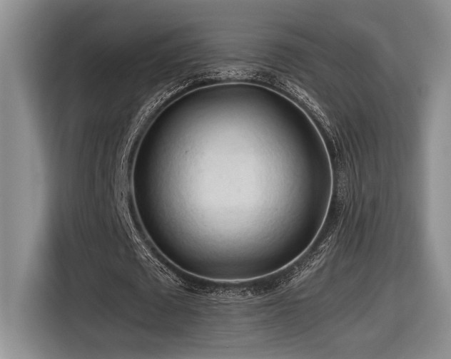 X0000116680673200912141432