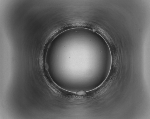 X0000116680677200912141432