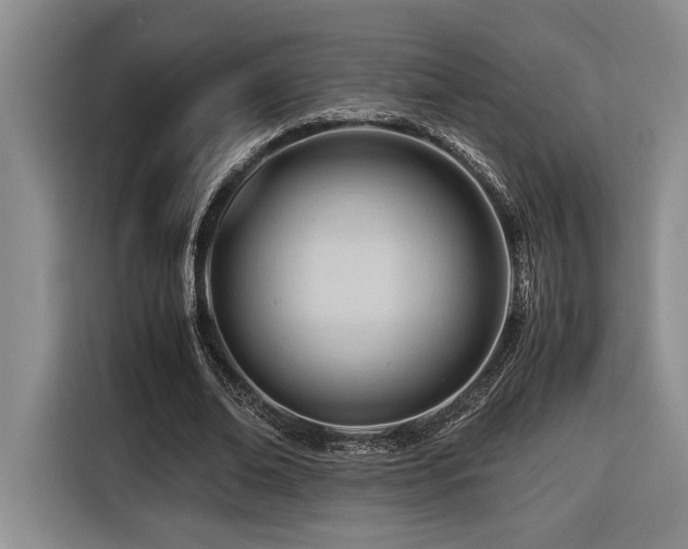 X0000116680678200912141432