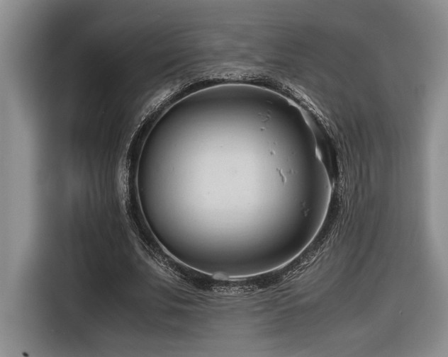 X0000116680679200912141432