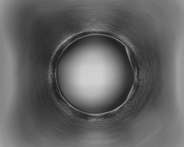 X0000116680680200912141432