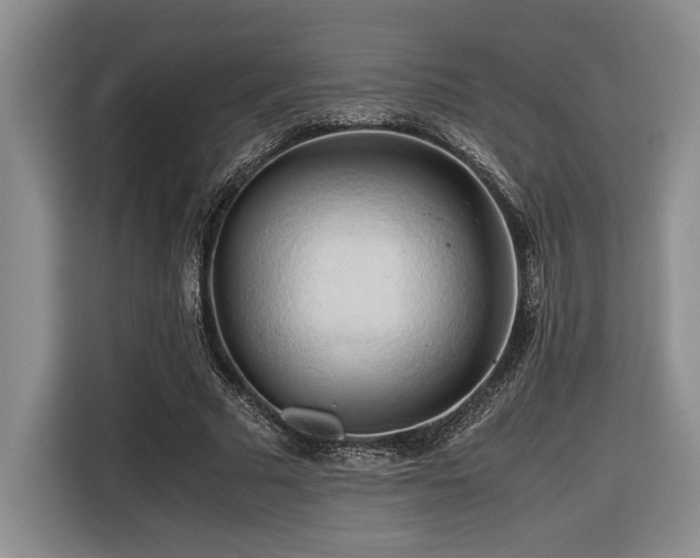 X0000116680681200912141432