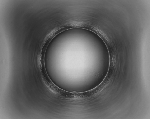 X0000116680682200912141432