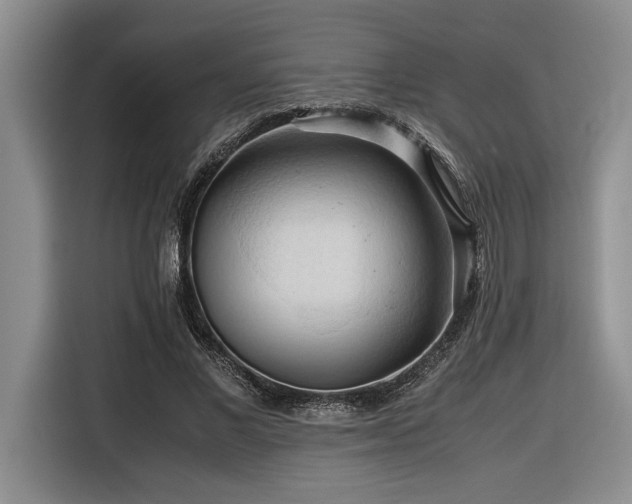 X0000116680685200912141432