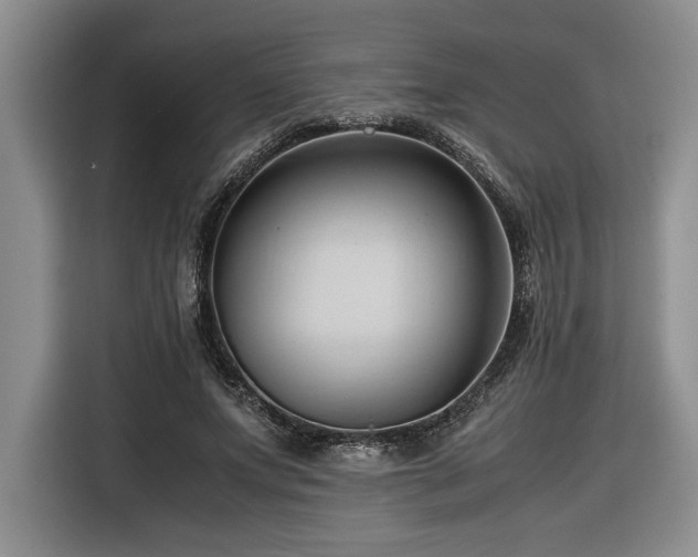 X0000116680687200912141432