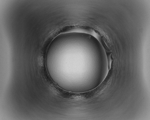 X0000116680689200912141432