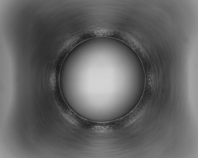 X0000116680690200912141432