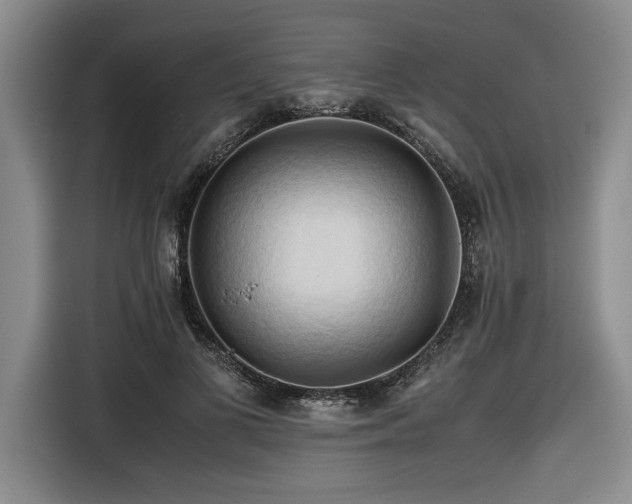 X0000116680693200912141432