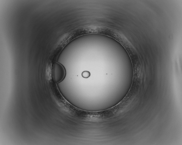 X0000116680694200912141432