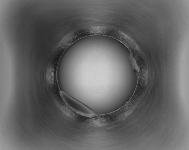 X0000116680696200912141432