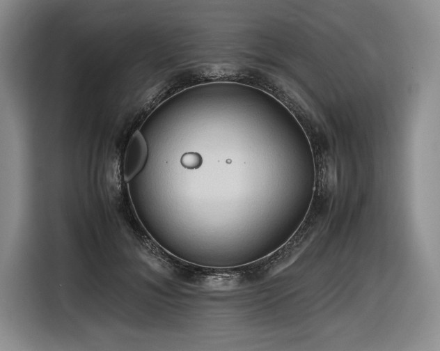 X0000116680700200912141432