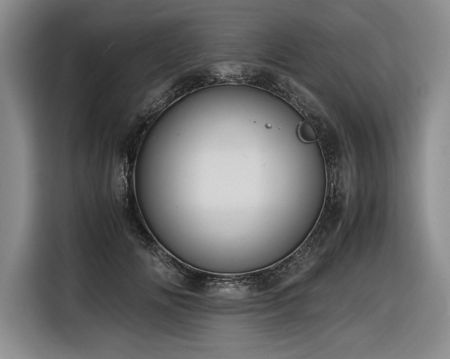 X0000116680702200912141432