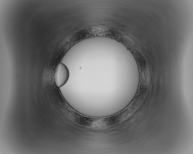 X0000116680705200912141432