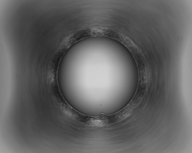 X0000116680706200912141432