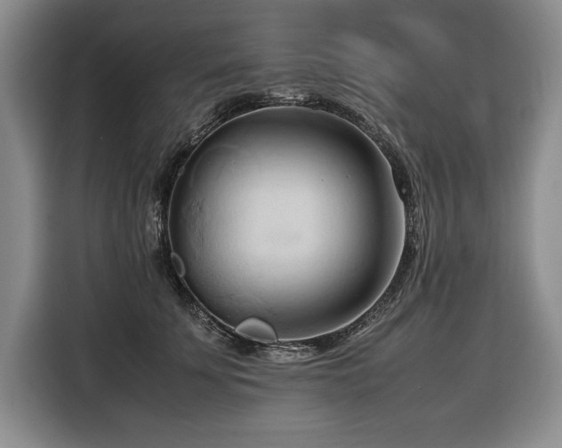 X0000116680707200912141432