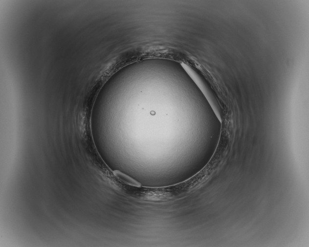 X0000116680708200912141432