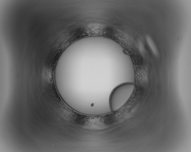 X0000116680709200912141432