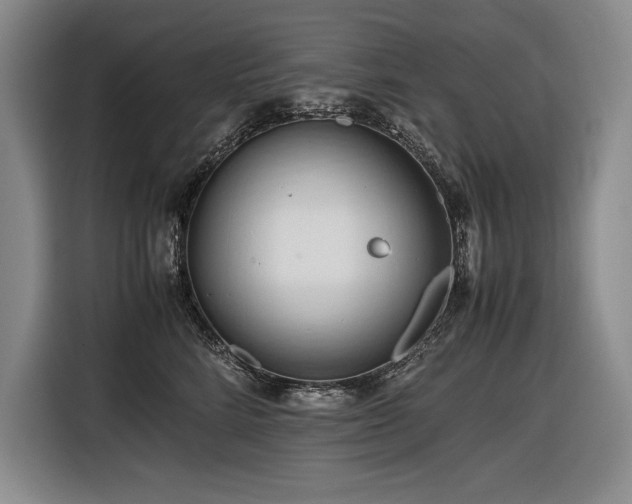 X0000116680712200912141432