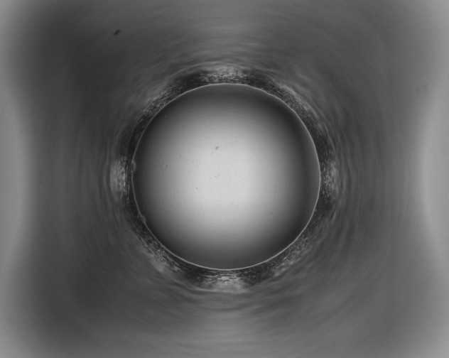 X0000116680715200912141432