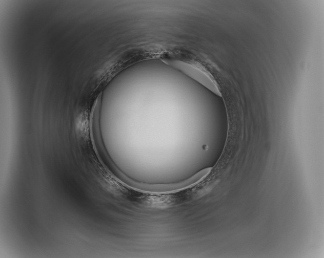 X0000116680720200912141432