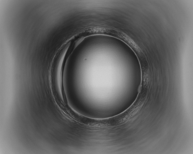 X0000116680722200912141431