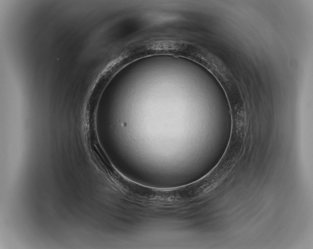 X0000116680727200912141431