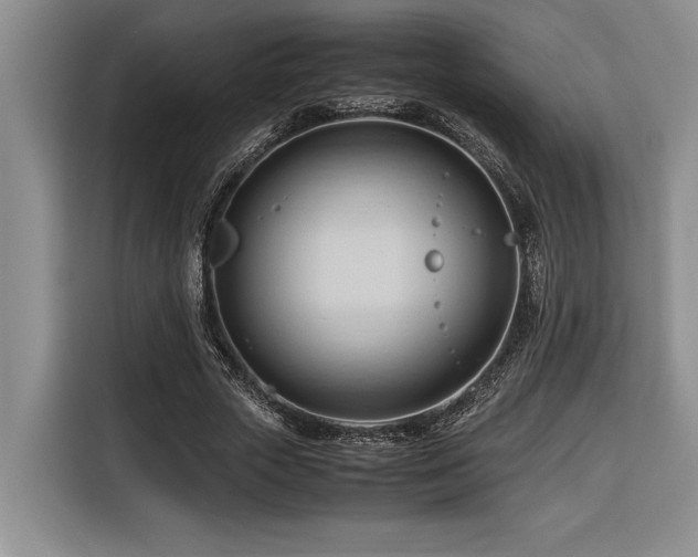 X0000116680729200912141431