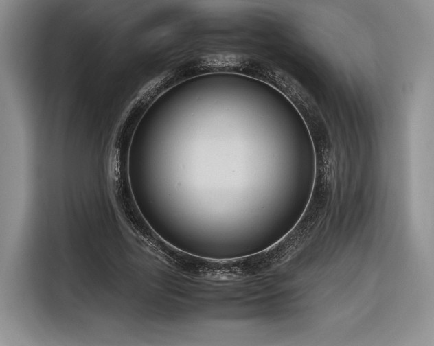 X0000116680731200912141431