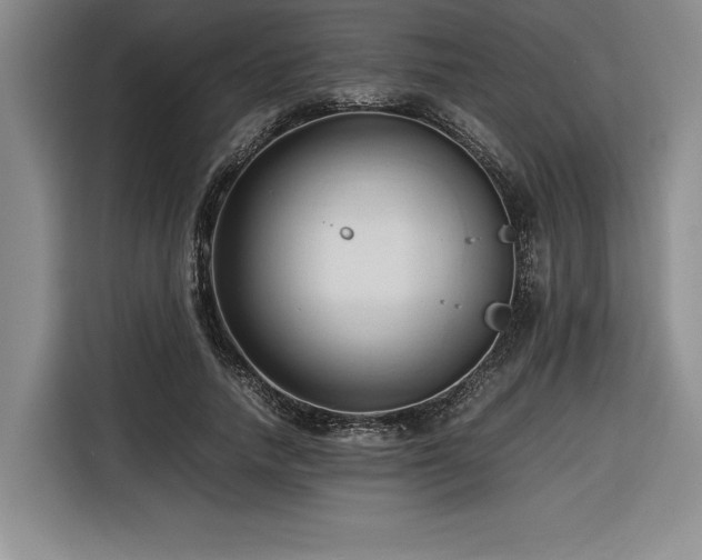 X0000116680738200912141431