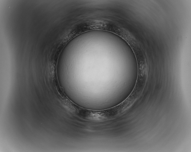 X0000116680753200912141432