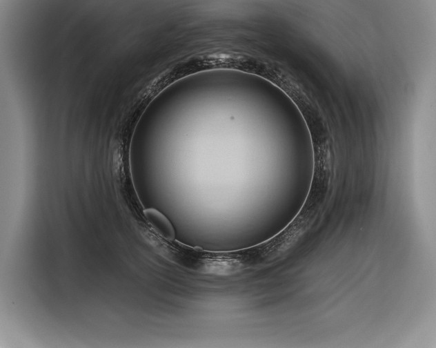 X0000116680754200912141432