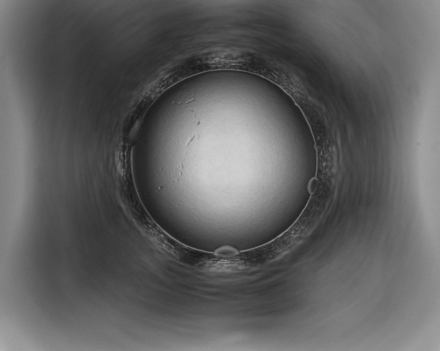 X0000116680755200912141432