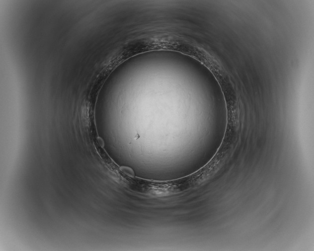 X0000116680757200912141432