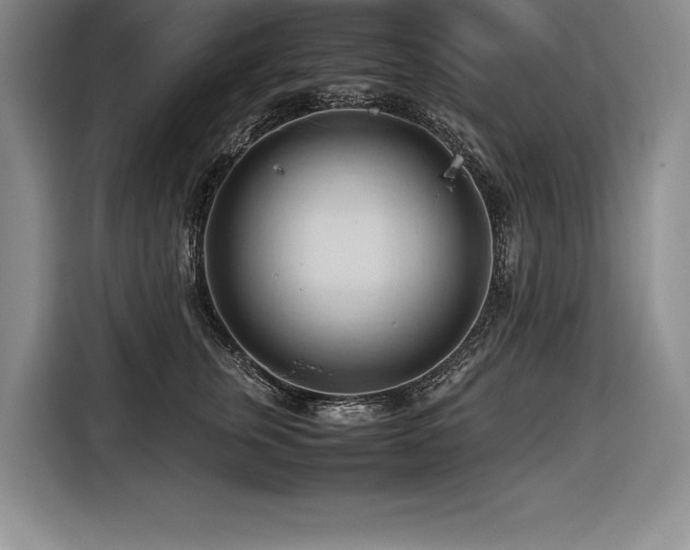 X0000116680759200912141432