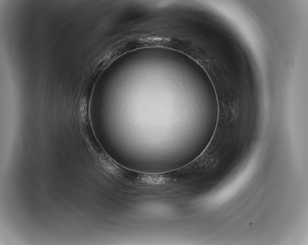 X0000116680767200912141432