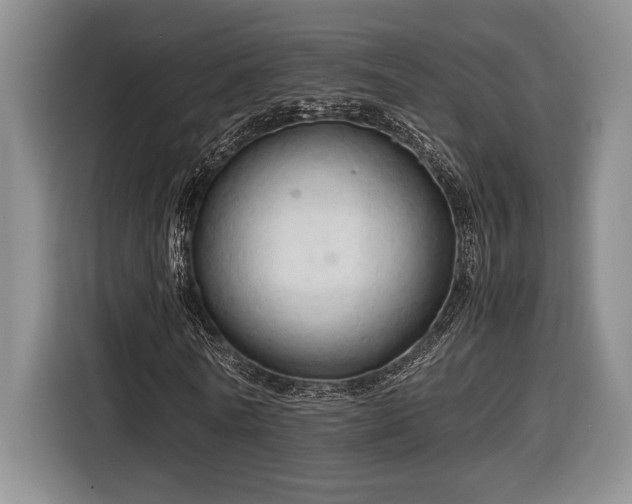 X0000116680770200912141431