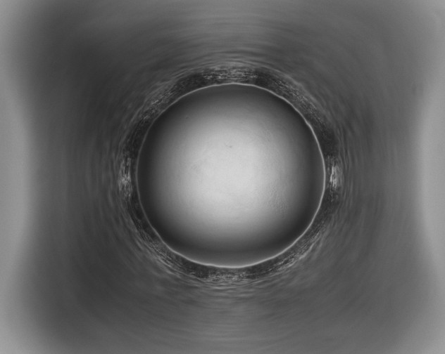 X0000116680771200912141431