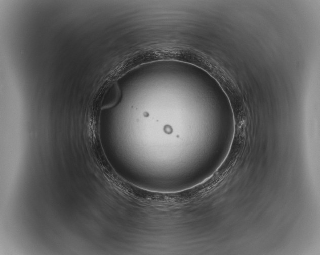 X0000116680772200912141431