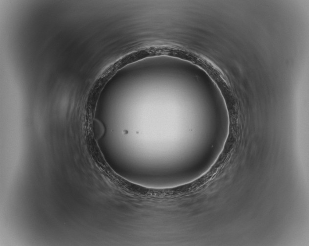 X0000116680775200912141431