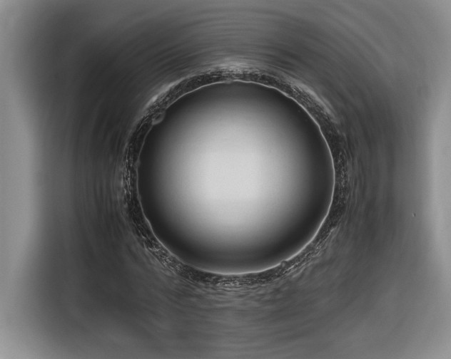 X0000116680776200912141431