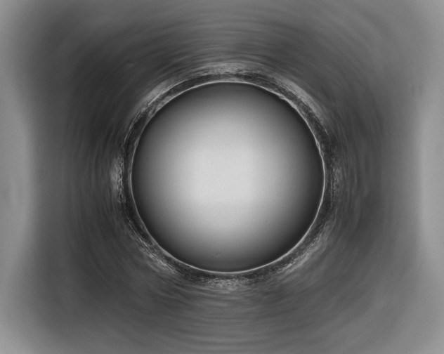 X0000116680778200912141431