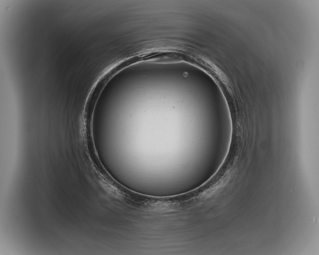 X0000116680779200912141431