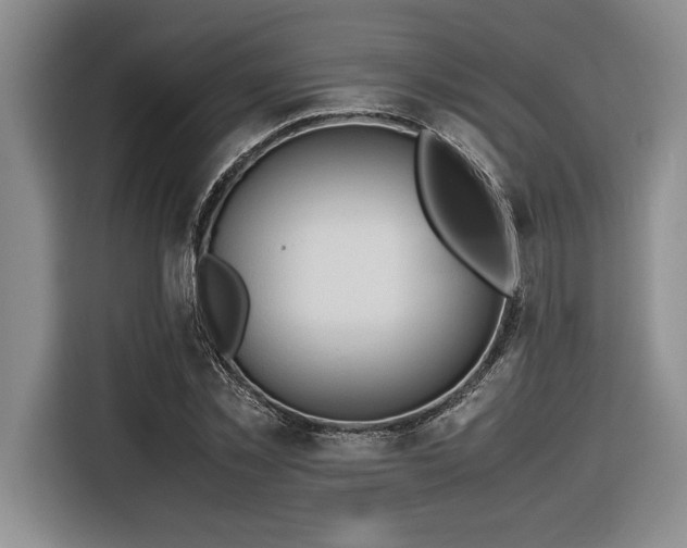 X0000116680781200912141431